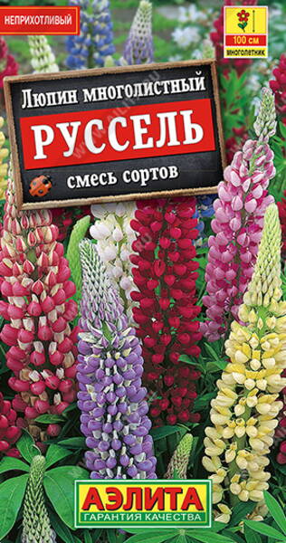 Lupin de Russell (mélange de couleurs) Lupin de Russell (mélange de couleurs)